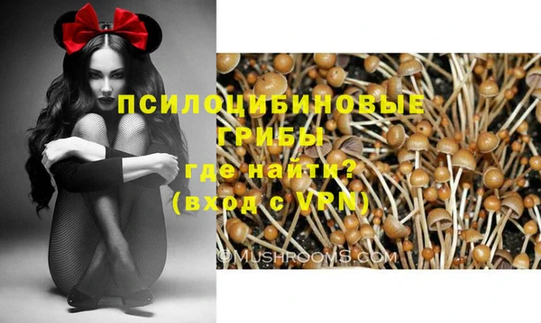мяу мяу мука Алексеевка