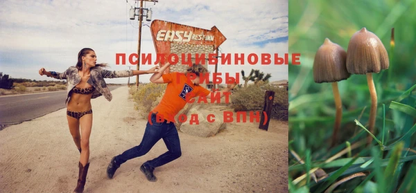 мяу мяу мука Алексеевка