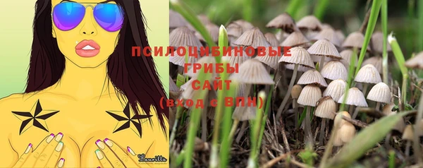 mdpv Алзамай