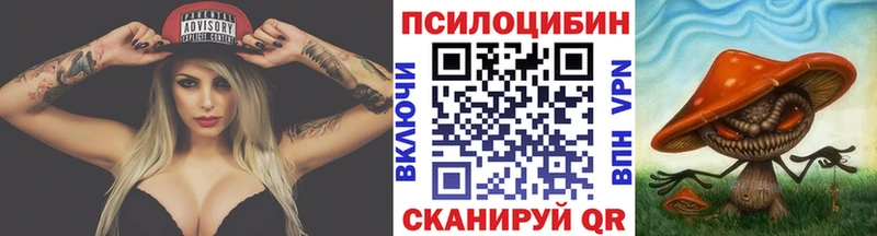 дарнет шоп  Лянтор  Псилоцибиновые грибы Psilocybe 